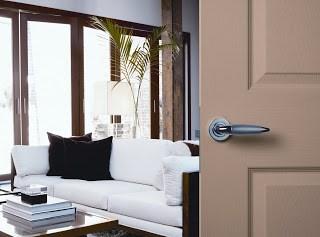 Modern Door with Chrome door handle on rose